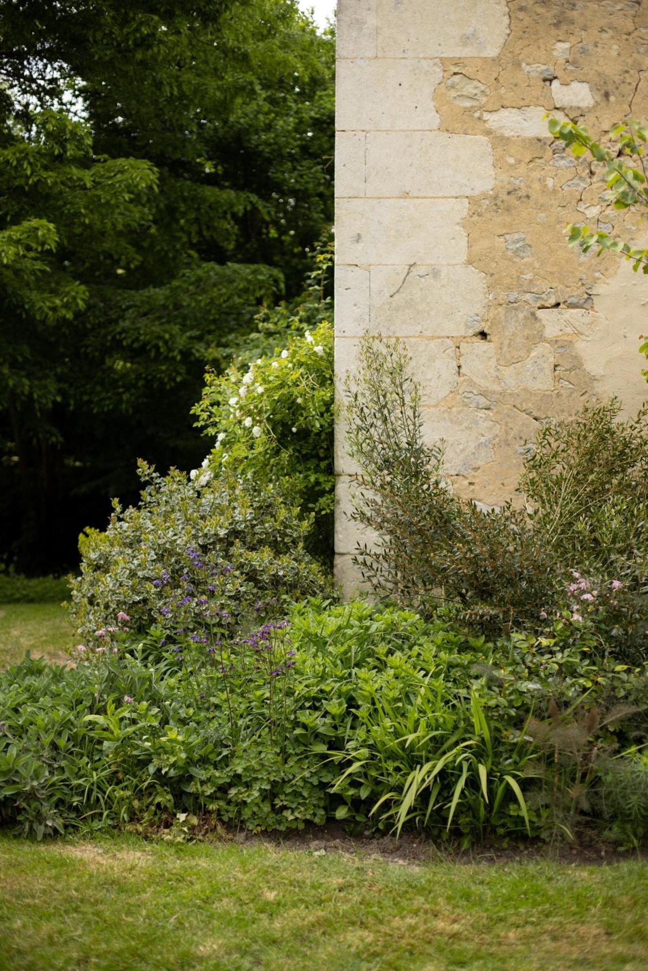 Le Manoir Du Plessis Hotel Dance  Kültér fotó