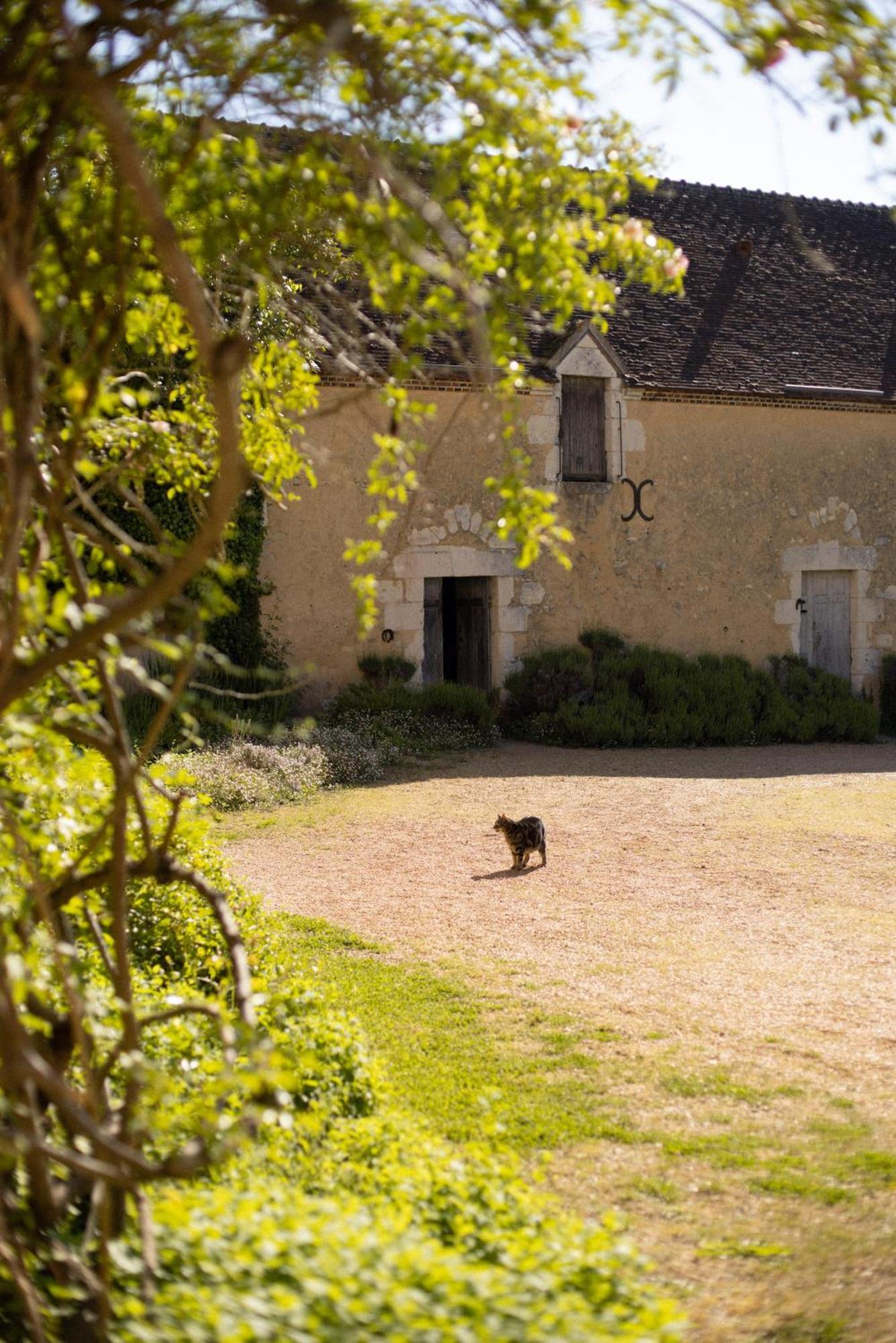Le Manoir Du Plessis Hotel Dance  Kültér fotó