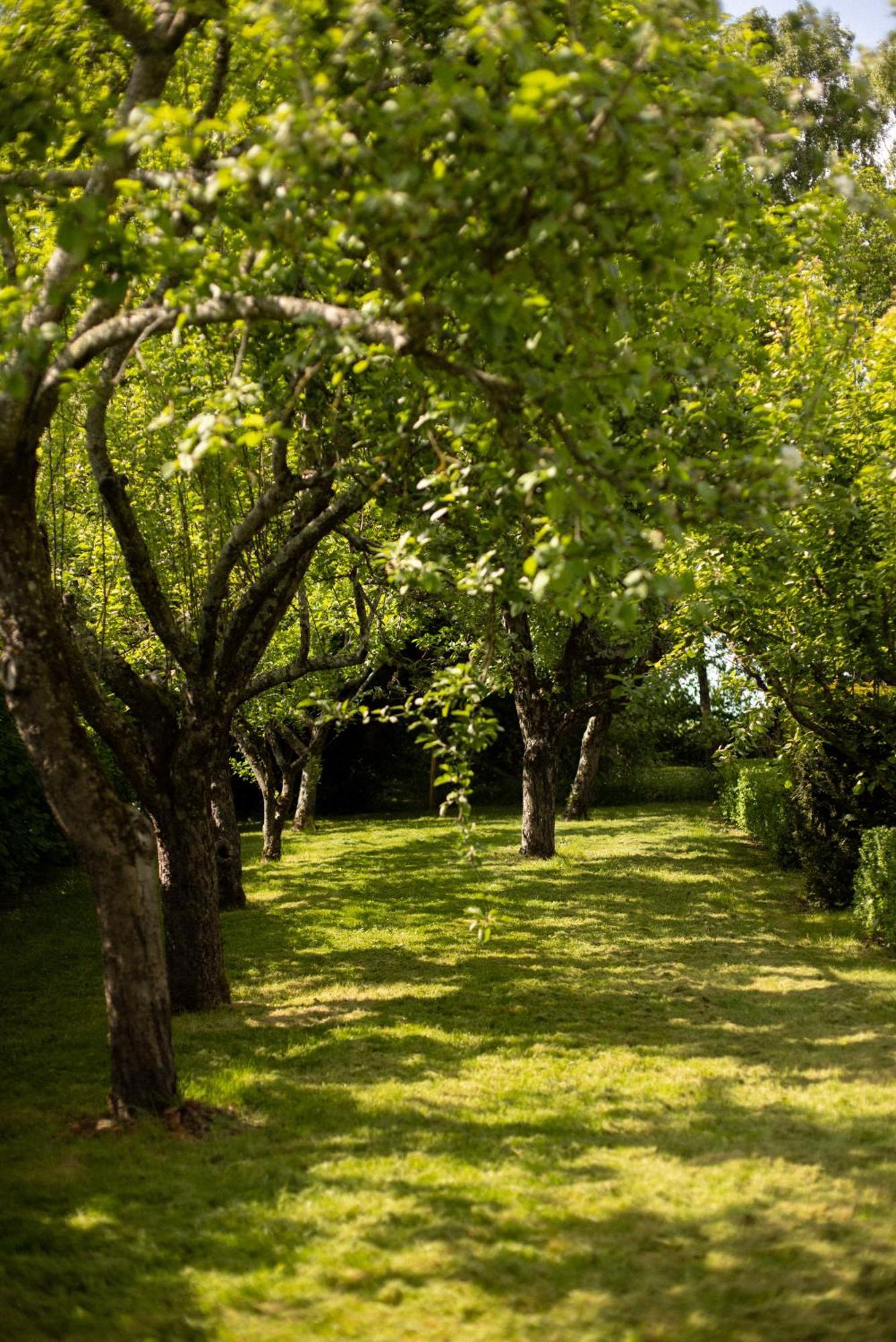 Le Manoir Du Plessis Hotel Dance  Kültér fotó